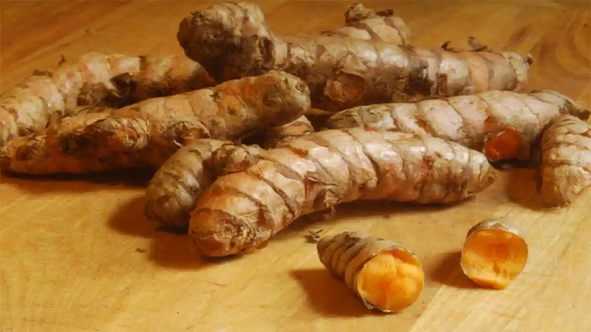 Dari Pakar Amerika, Inilah 6 Herbal Paling Mujarab, Termasuk Kunyit