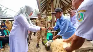 Bupati-Banyuwangi-Ipuk-Fiestiandani-mengunjungi-pelatihan-pembuatan-silase.jpg