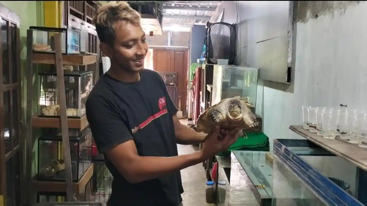 Kisah Pasutri di Blora Dirikan Omah Satwa, Sehari Habis Rp 150 Ribu untuk Pakan