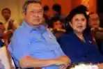 IMDI Dukung SBY Jadi Ketua Umum Partai Demokrat