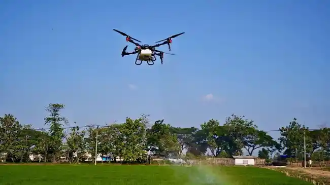 Terus Didorong, Bertani Metode Smart Farming Masih Belum Masif