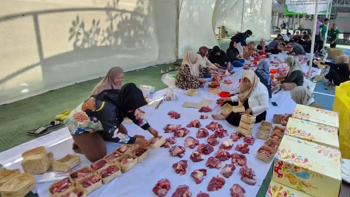 Pegadaian Semarang Kurban 8 Ekor Sapi dan 61 Kambing, Didistribusikan ke Berbagai Wilayah