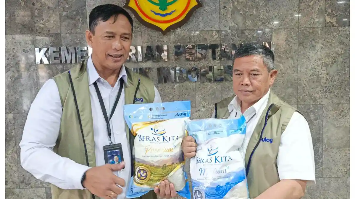 Kadar Air Beras Kita Tipe Premium 14 Persen, Level Pecah 15 Persen - Tribunnews.com