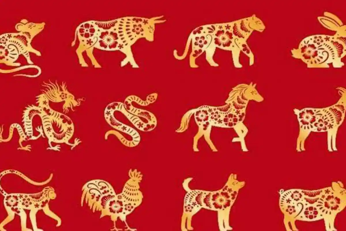 Ramalan Shio Lusa Kamis 28 April 2022, Keberuntungan Shio Anjing dan Shio Naga yang Bersemangat