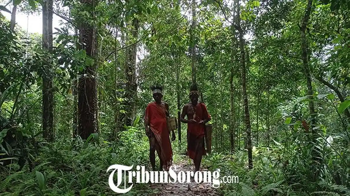 Tanah Adat Afsya Sorong Selatan Jadi Target 2 Perusahaan Sawit, Warga Tegas Menolak