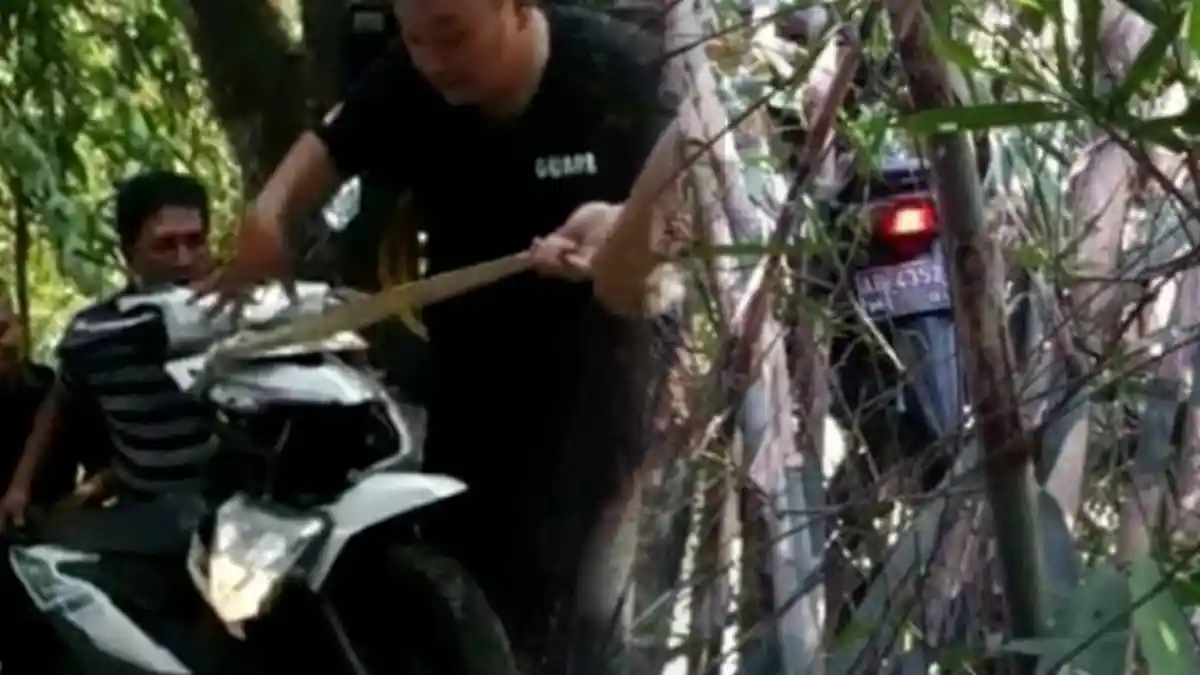 Keanehan Motor Terbang Nyangkut di Pohon Bambu, Pengemudi Tidur Pulas di Semak,Ini Penjelasan Polisi