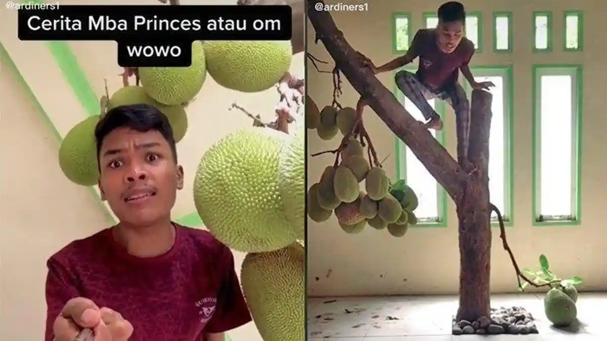 Rumah Ini Jadi Viral, di Dalamnya Ada Pohon Nangka, Mangga dan Cempedak, Berikut Kisahnya