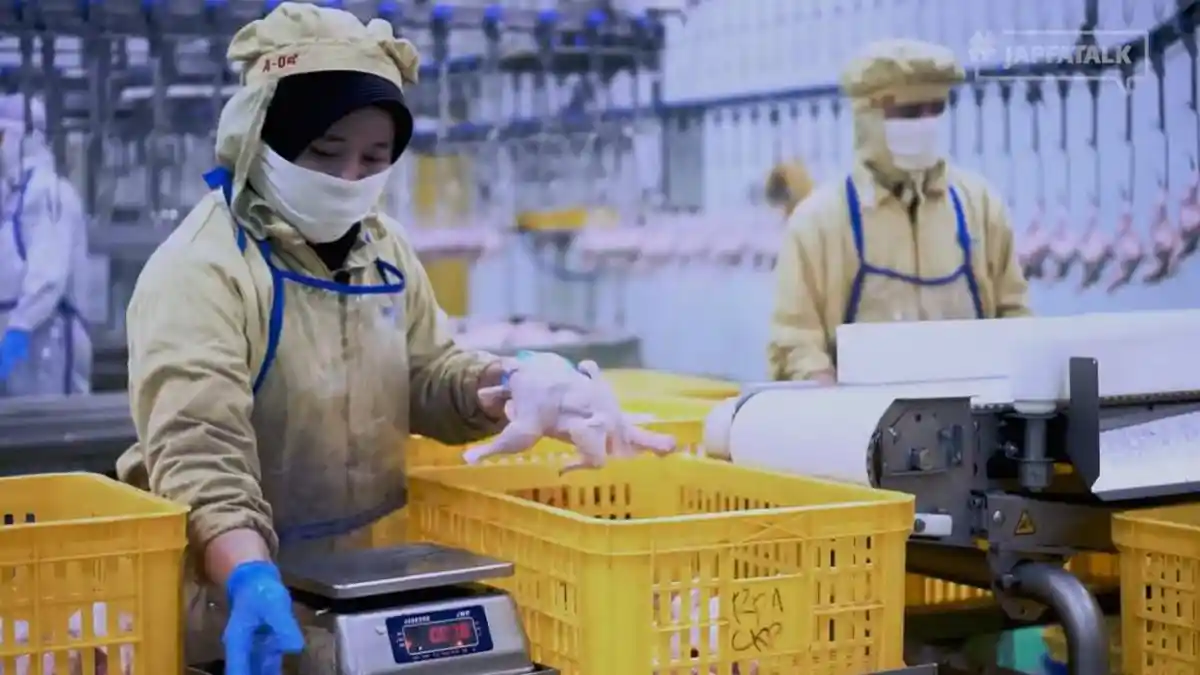 Syarat Pekerja Penerima BSU yang Disalurkan Mulai 5 Juni, Berapa Nominal yang Diberikan Tahun Ini?