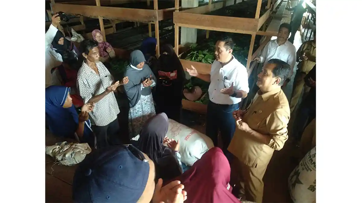 Kementrian Kunjungi Pabrik Daun Kratom, Ini Harapan Bupati dan Masyarakat
