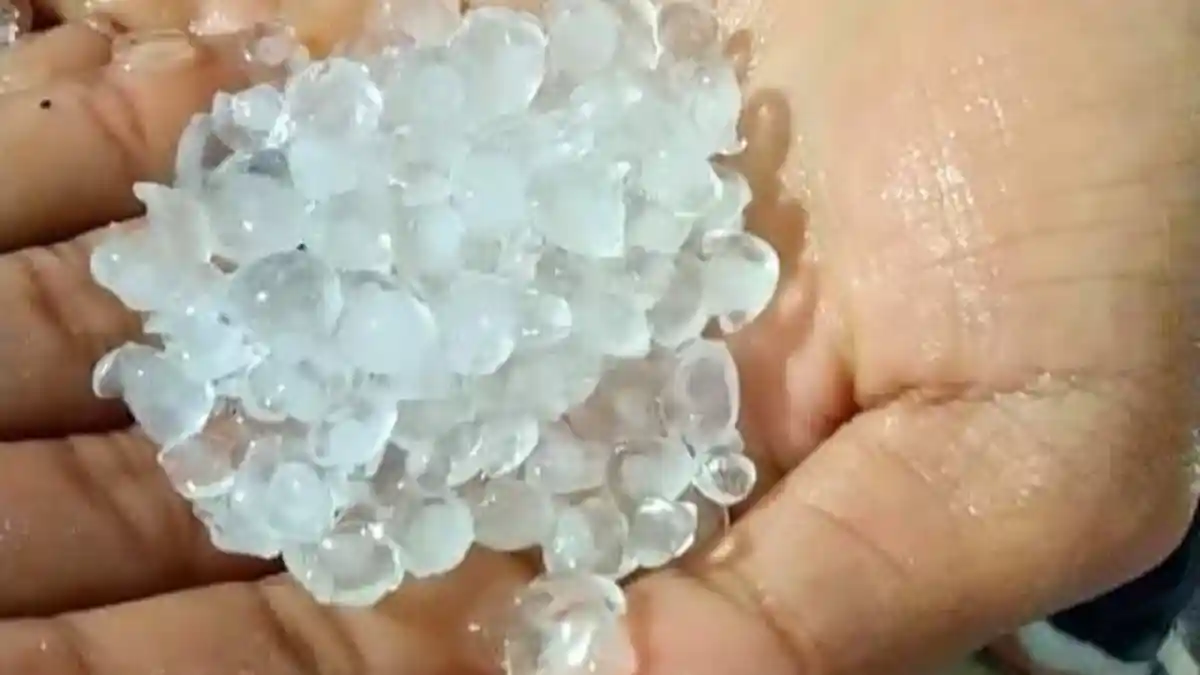 Fenomena Langka, Hujan Es Guyur Lampung Barat Hampir Satu Jam