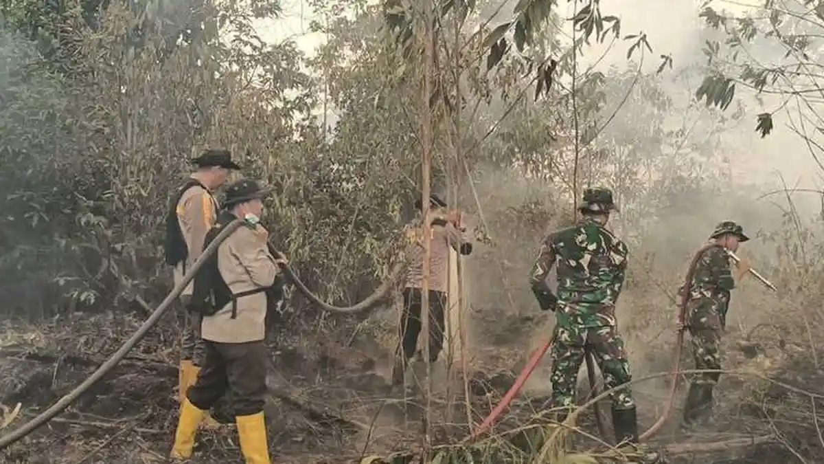 Prabowo Dapat Laporan Jarak Pandang Karhutla Kalteng Hanya 500 Meter ...