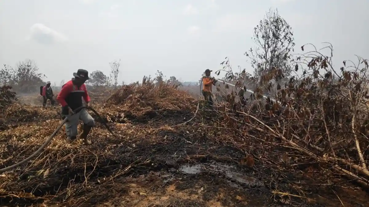 Kisah Petugas Pemadam kebakaran Hutan di Kaltim, 9 Hari Bekerja, Alami Muntah dan Sakit Kepala