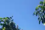 240822-langit-cerah-pagi.jpg