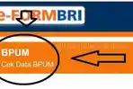 login-eformbricoidbpum-cek-penerima-blt-umkm-bri-eform-bni-co-id-eform-mandiri-syariah-bisa.jpg