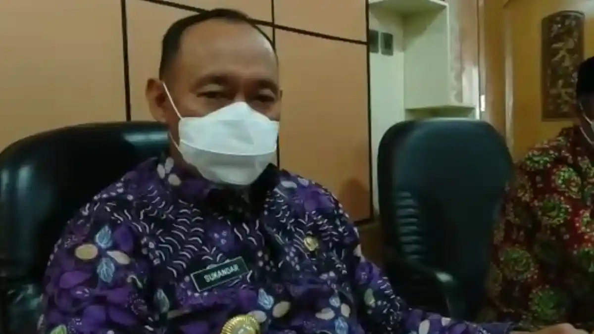 Heboh Harimau Masuk Kampung di Tengah Ilir Tebo, Sukandar Imbau Tak Pergi Sendiri