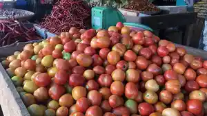 Harga-tomat-di-Pasar-Baru-Jl-Abdul.jpg