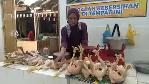 Pedagang-ayam-di-pasar-baru-tuban-Jumat-2842023.jpg