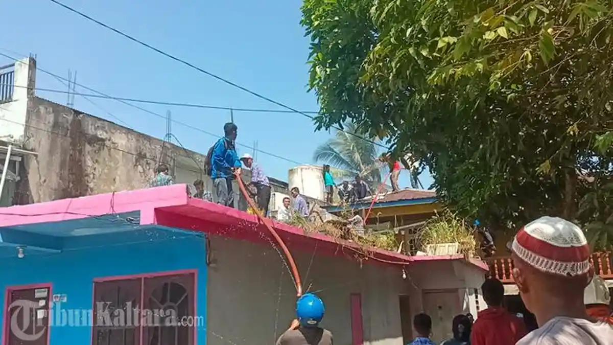 BREAKING NEWS Sebuah Rumah di Kelurahan Karang Anyar Pantai Tarakan Terbakar 