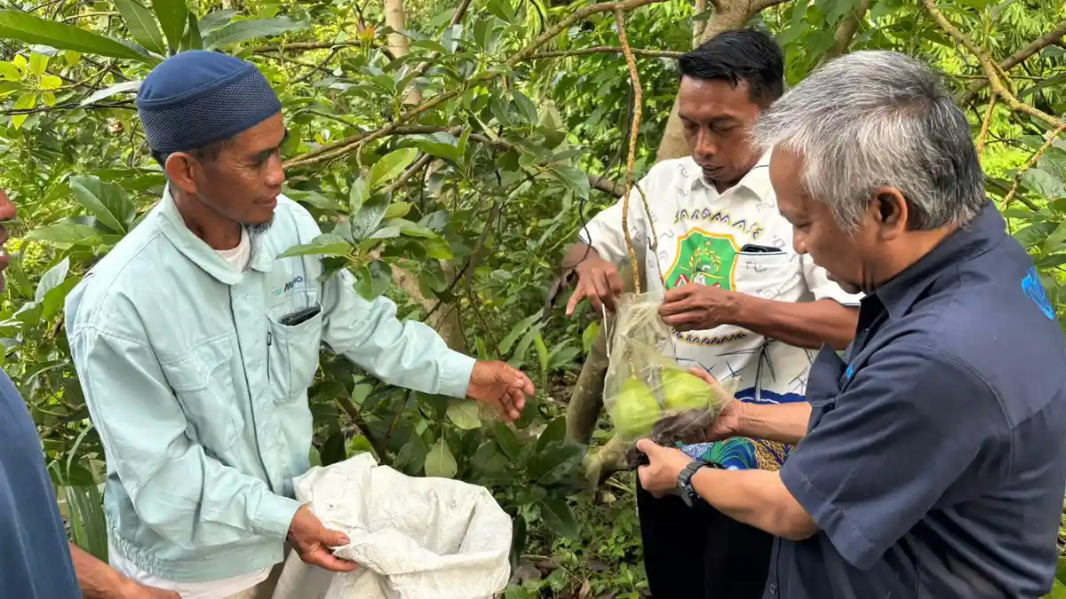 Bupati Sidrap Syaharuddin Alrif Tiap Hari Kena Matahari Demi Sapa Warga
