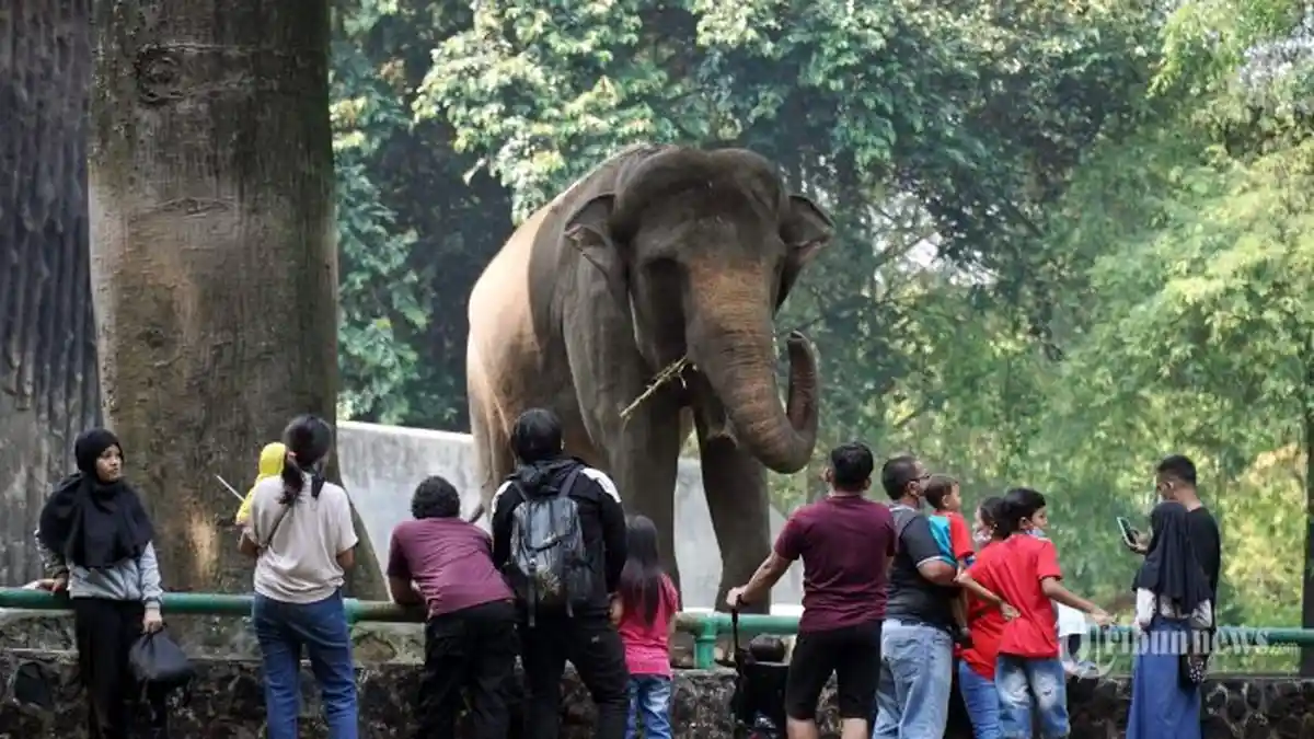 55 Ribu Lebih Pengunjung Padati Taman Margasatwa Ragunan pada Minggu Liburan Sekolah