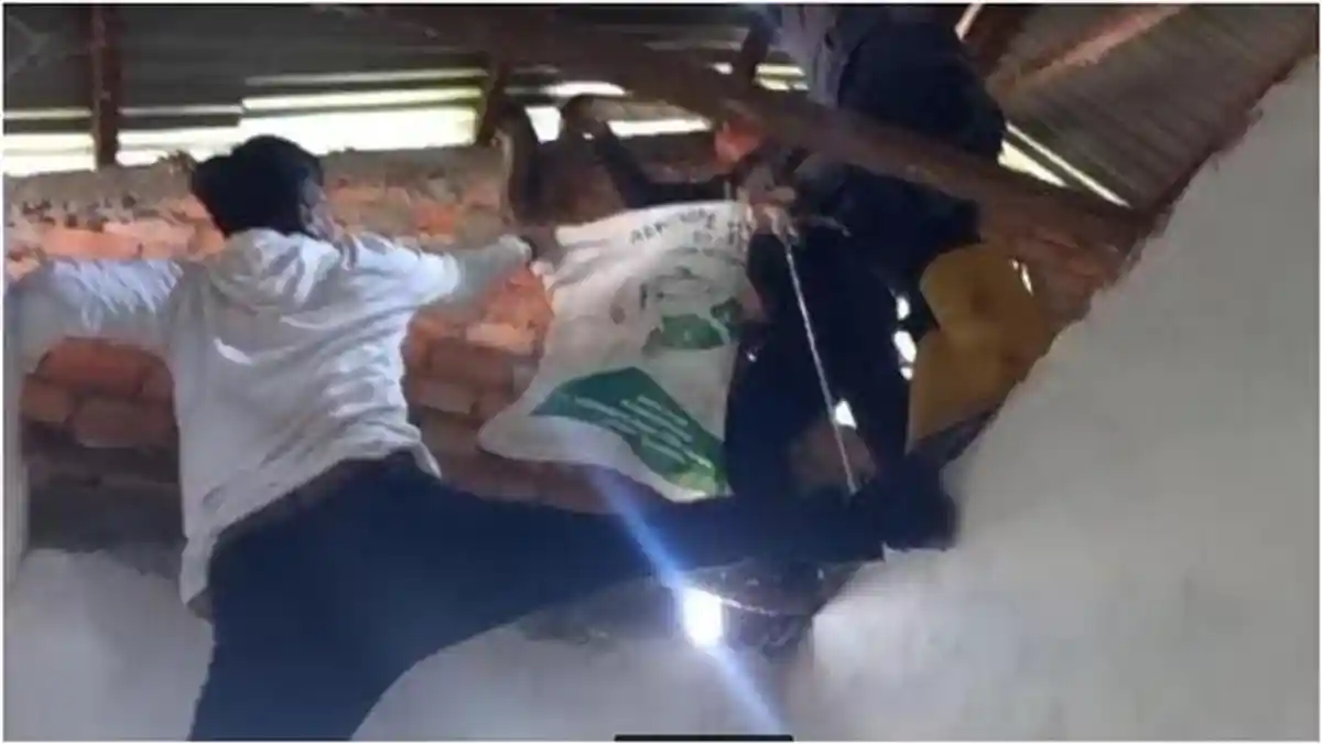 Heboh, Ular Ular Piton 6 Meter di Atap Rumah Warga di 15 Ulu Palembang, Melilit di Bubungan