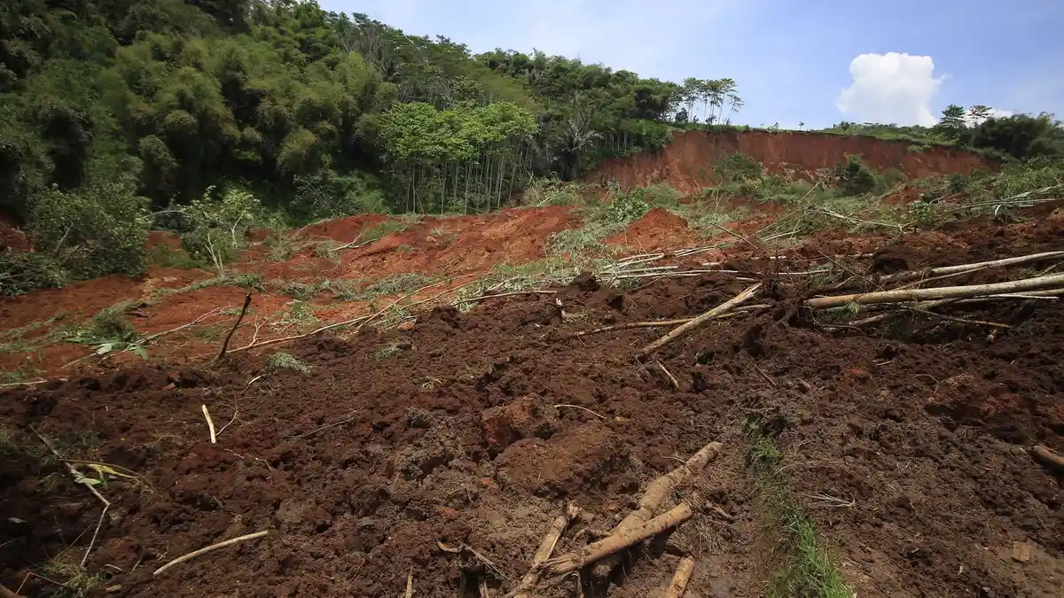Cuaca Ekstrem Melanda, Kabupaten Kulonprogo Tetapkan Darurat Longsor