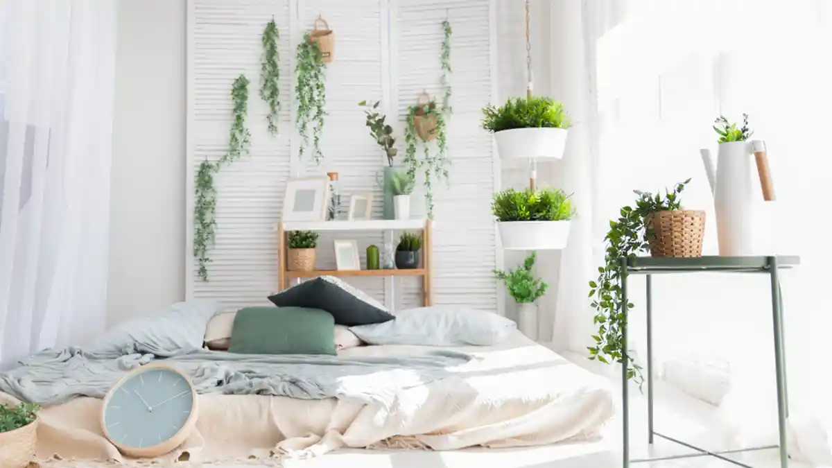 7 Tanaman Hias dalam Kamar Ini Bisa Bikin Tidur Lebih Nyenyak
