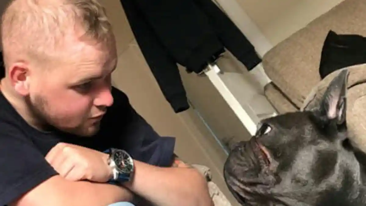 Anjing Setia Mati 15 Menit setelah Tuannya Tutup Usia karena Sakit Kanker Otak