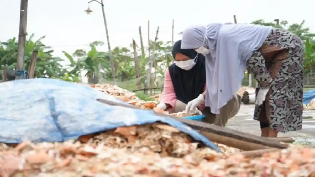 Warga Karawang Ubah Limbah Cangkang Rajungan Jadi Produk Bernilai Ekonomi