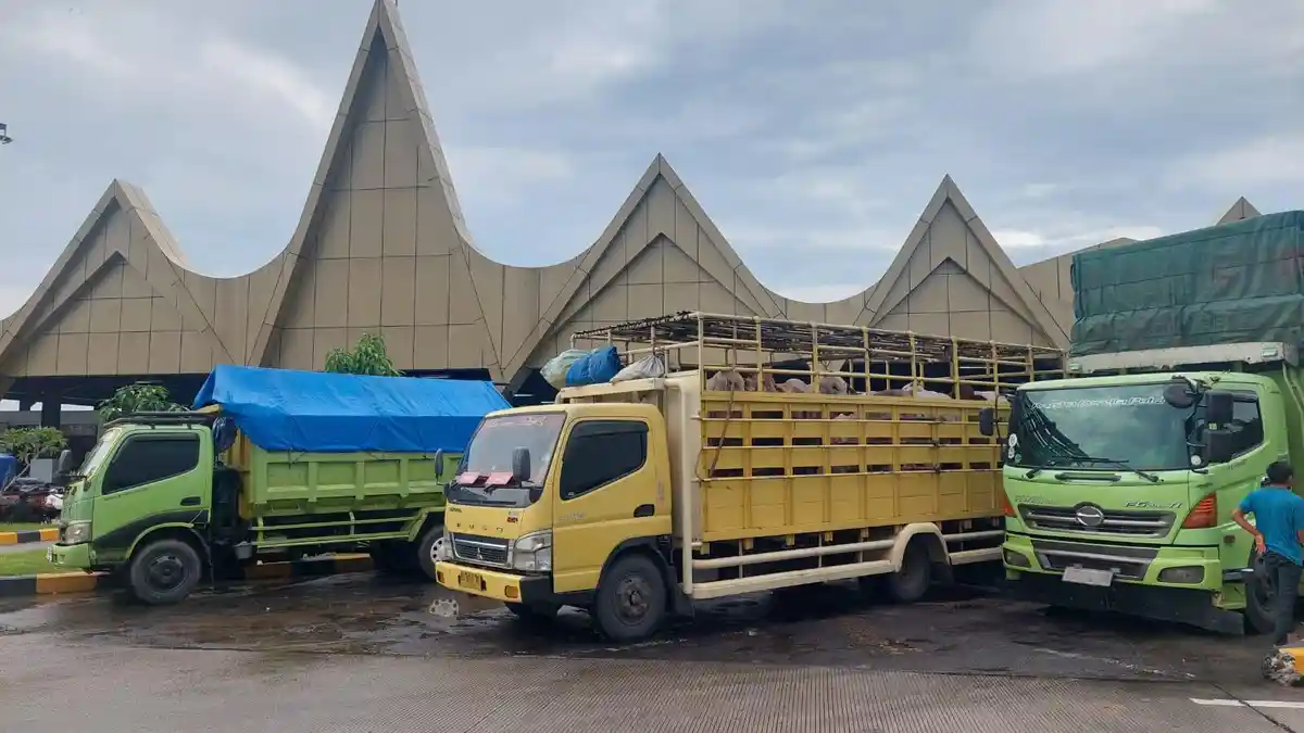 60 Persen Pengemudi Truk ODOL Pernah Alami Kecelakaan, Penghasilan Rendah Jadi Sorotan