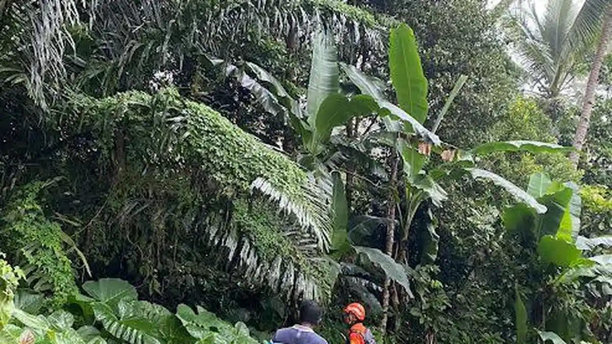 Tim SAR Cari Kakek 78 Tahun Hilang Secara Misterius di Kloangpopot Sikka