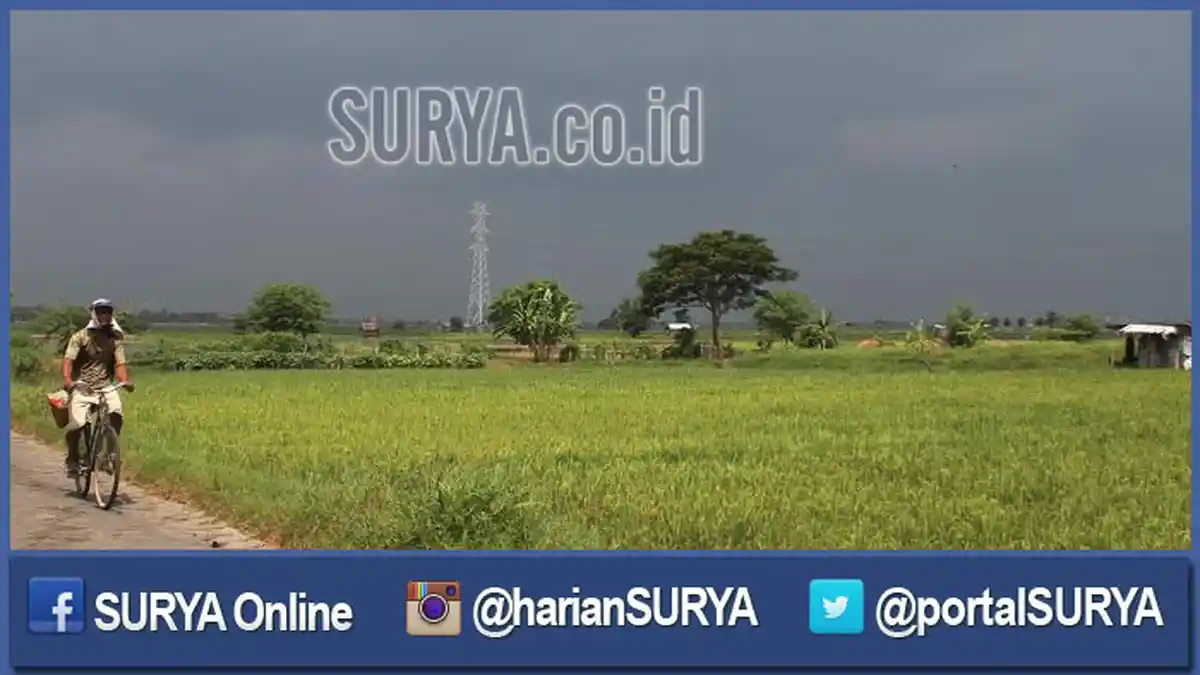 Lahan Pertanian Produktif Tiap Tahun Menyusut, Pemkab Gresik Antisipasi dengan Susun RDTRK