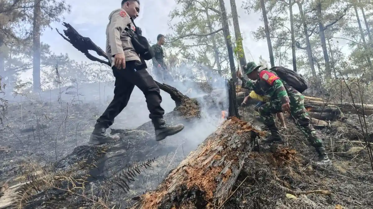 Agustus El Nino Menguat, Kemendagri Ingatkan Pemda Antisipasi Karhutla