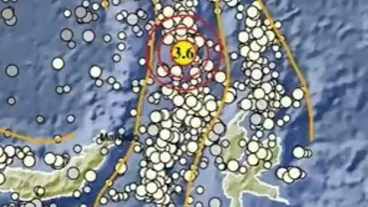 Gempa Bumi Terkini di Sulut Rabu 24 Juni 2026, Info BMKG Magnitudo dan Lokasinya - Tribunmanado.co.id
