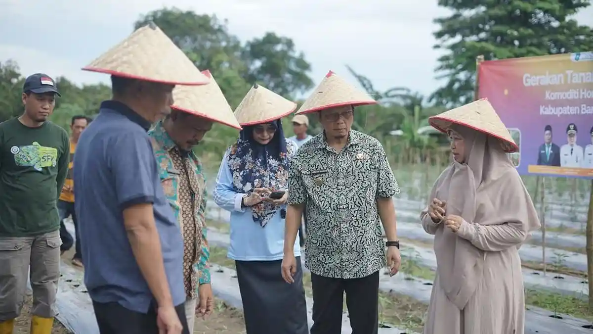 DPKP Bangka Tengah Luncurkan Program Gertam, Fokus Tanam Cabai dan Bawang Merah