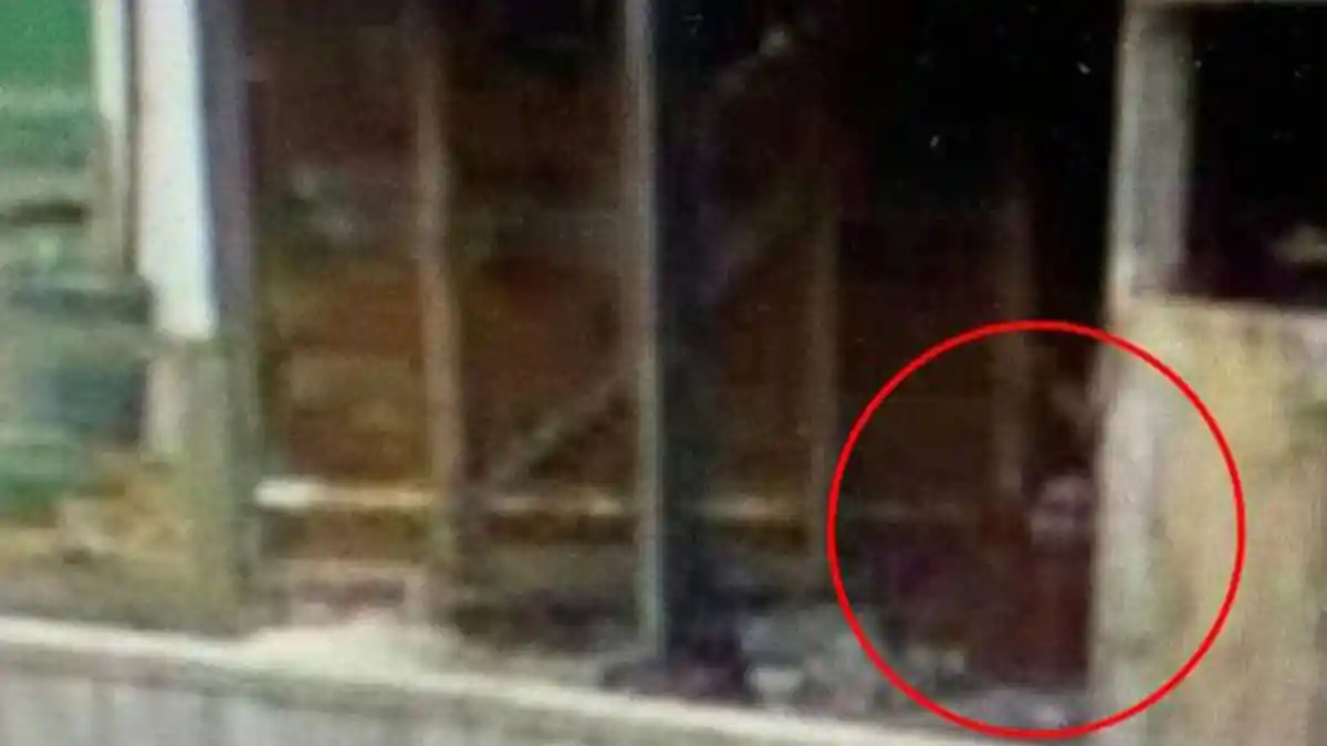 2 Tahun Hilang Tanpa Jejak, Gadis 19 Tahun Ini Mendadak Terlihat di Foto Aneh Lewat Google Maps