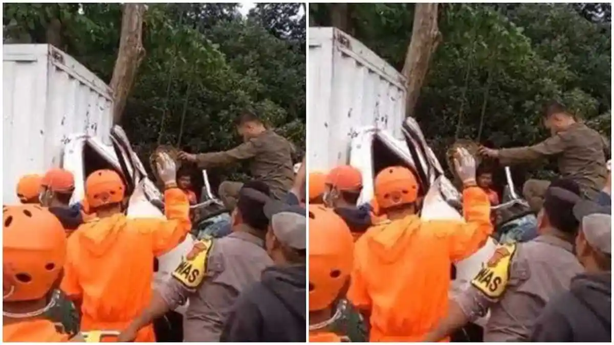 Kecelakaan Maut, Seorang Sopir Tewas, Truk Box Tertimpa Pohon Tumbang Saat Cuaca Buruk