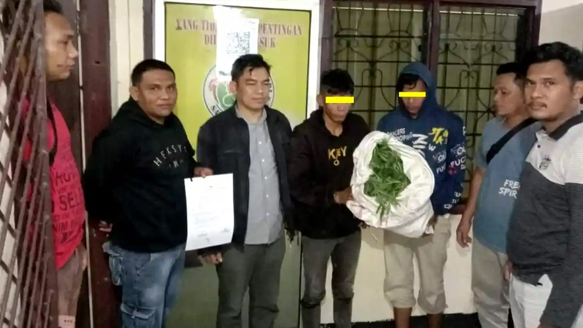 Pikul 1 Kg Ganja Basah, Dua Kurir Ini Berakhir di Polsek Binjai Timur