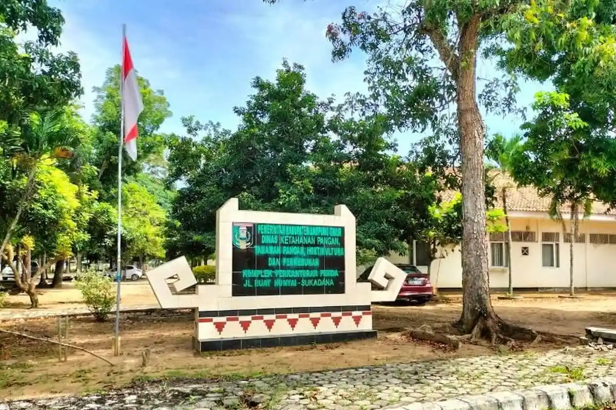 Sawah Seluas 56.363 Hektar di Lampung Timur jadi Target Lahan Tanam Musim Hujan