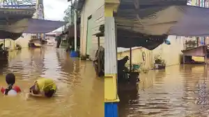 20250128_Buaya-di-Sangatta-Muncul-Saat-Banjir.jpg