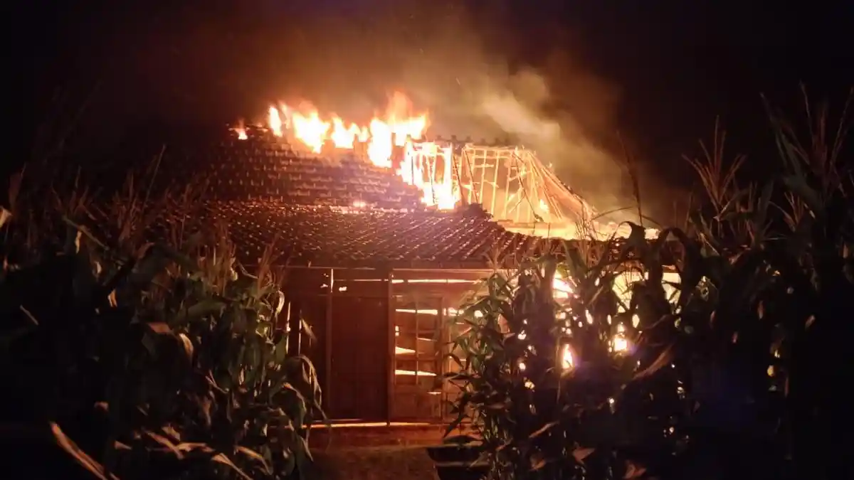 Kandang Ternak di Todanan Blora Terbakar, Kerugian Capai Puluhan Juta, Diduga Korsleting Listrik 