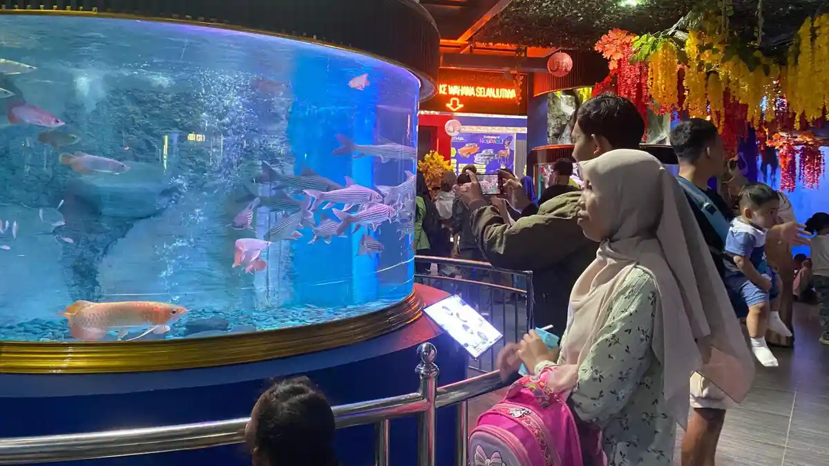 Ada yang Baru di Taman Wisata Pendidikan Purbasari Purbalingga: Akuarium Kansae!