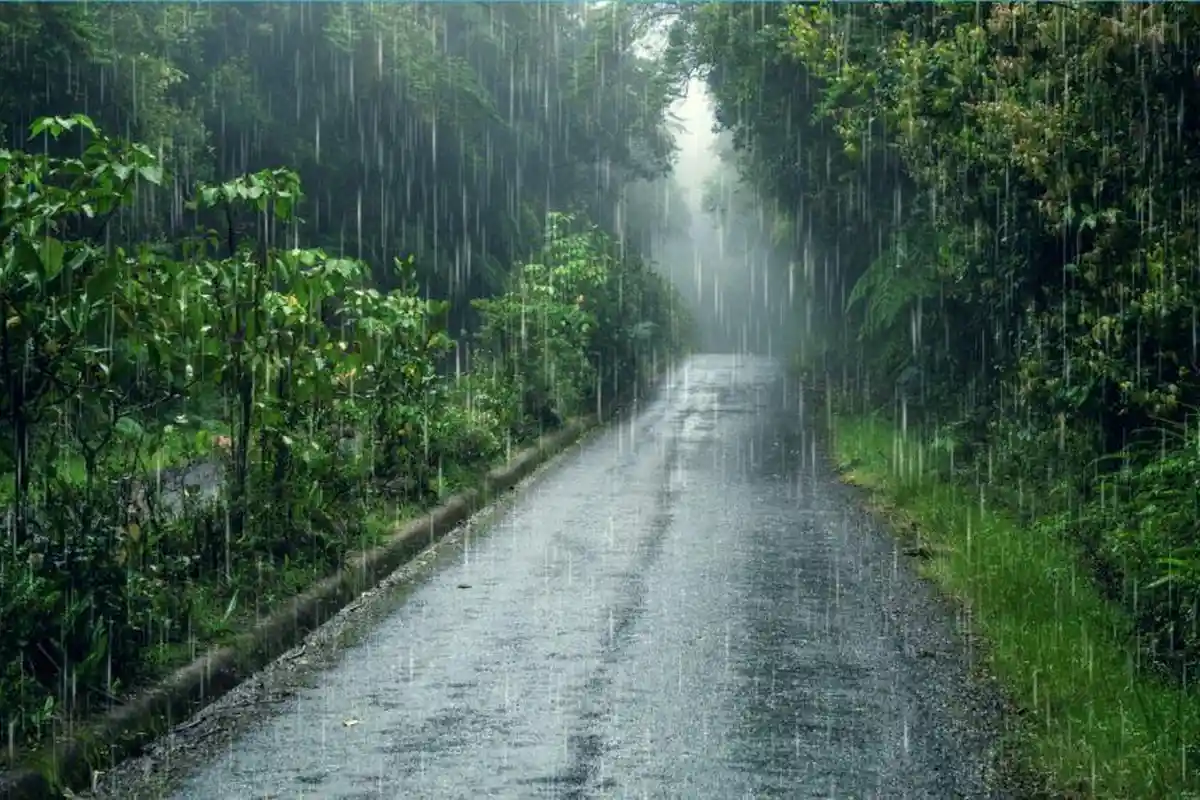 Prakiraan Cuaca di Jatim Hari Ini 18 November 2025: Mayoritas Hujan, Hanya Probolinggo Berawan