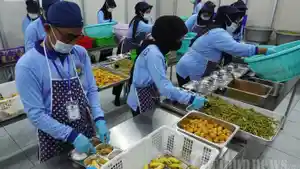 Anggaran-MBG-Melonjak-Rp171-Triliun-KPK-Temukan-Celah-Korupsi-dan-Risiko-Konflik-Kepentingan.jpg