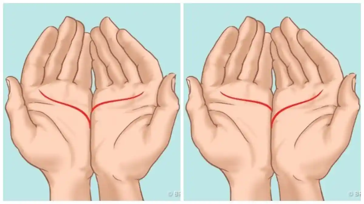 Cara Membaca Garis Tangan, Nasib dan Hati, Percayakah Anda?