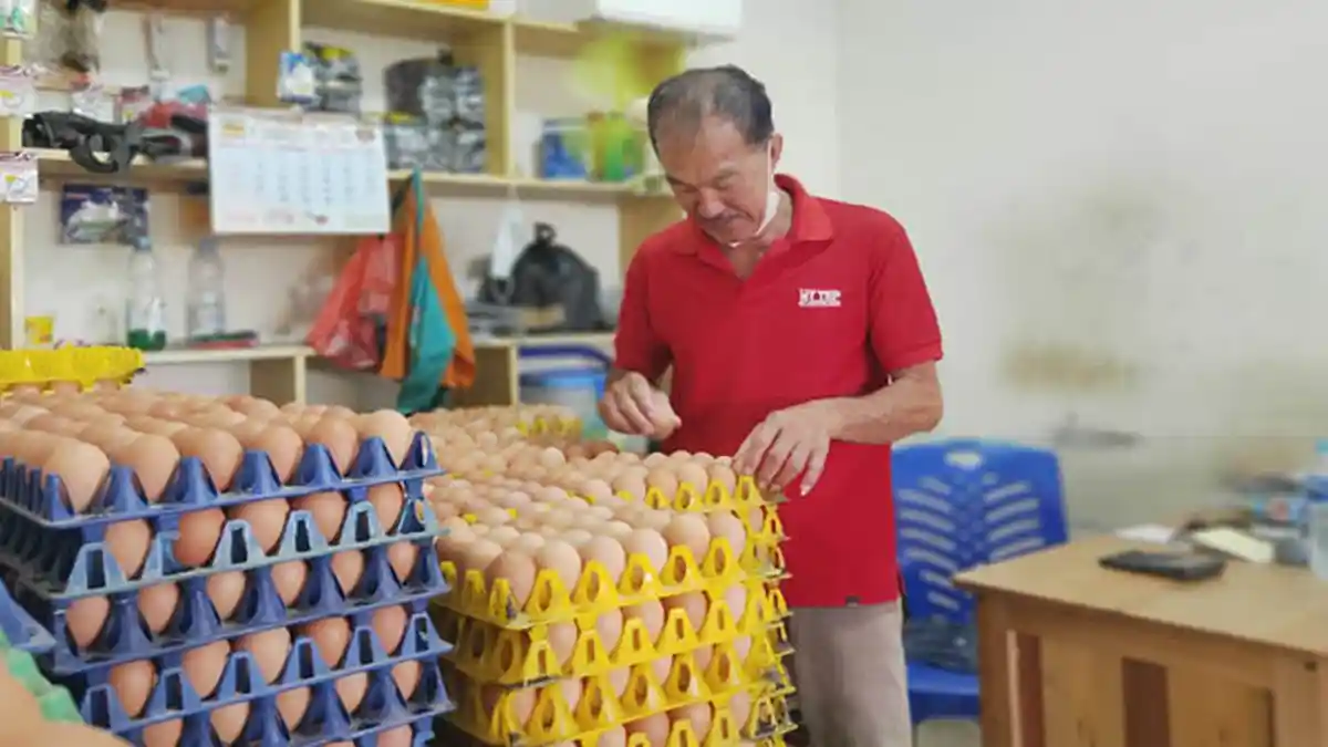 Harga Telur Ayam di Kabupaten Mempawah Tembus Rp 31 Ribu per Kg