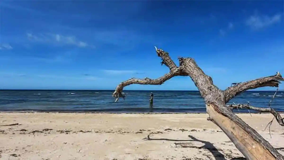 Wisata Pantai Londa Lima di Sumba Timur, Bisa Berjemur, Berenang dan Mmemancing