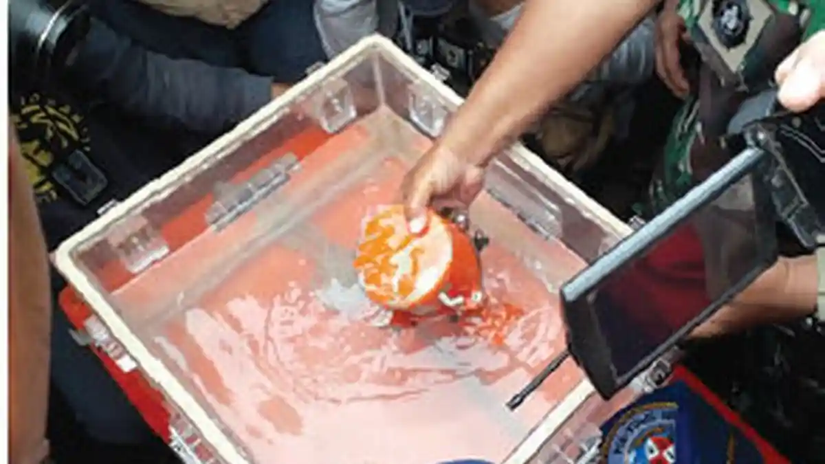Mengenal Black Box, Perangkat Perekam Kunci Informasi Penyebab Jatuhnya Pesawat