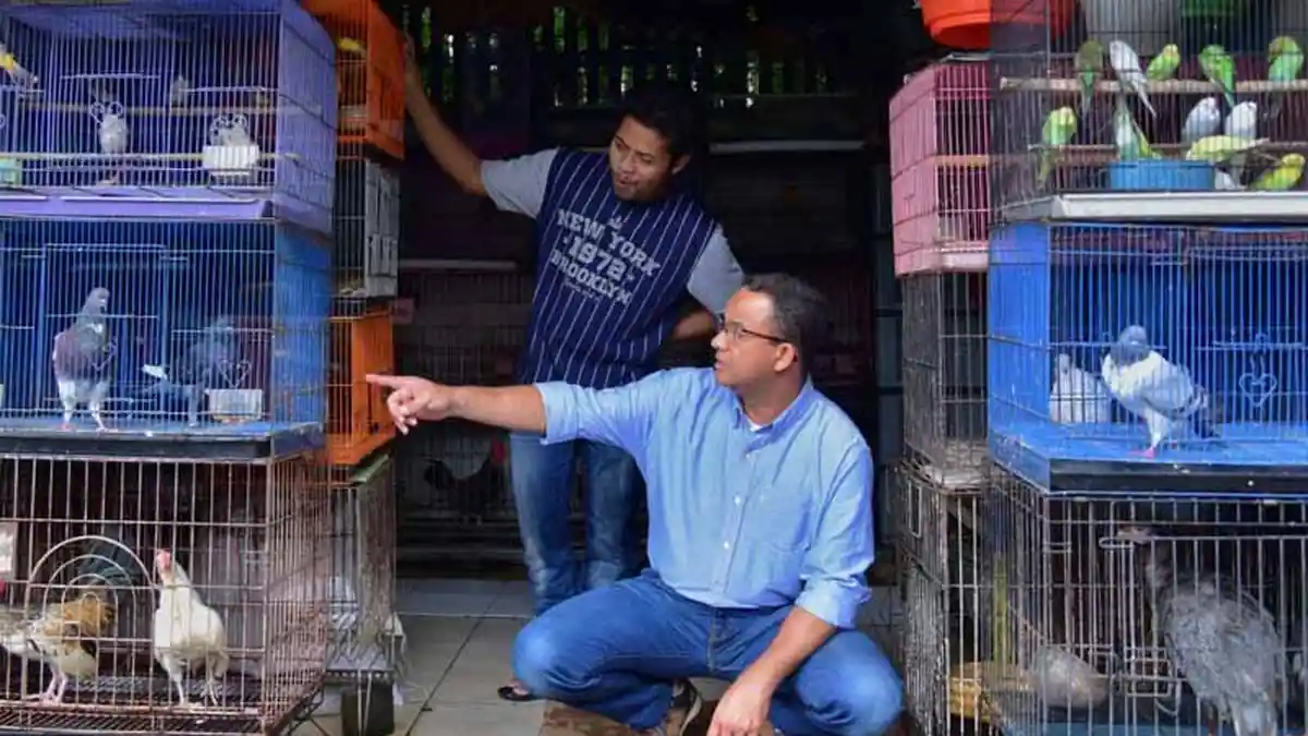 Ganggu Pejalan Kaki, Pasar Burung Barito Akan Dirapikan