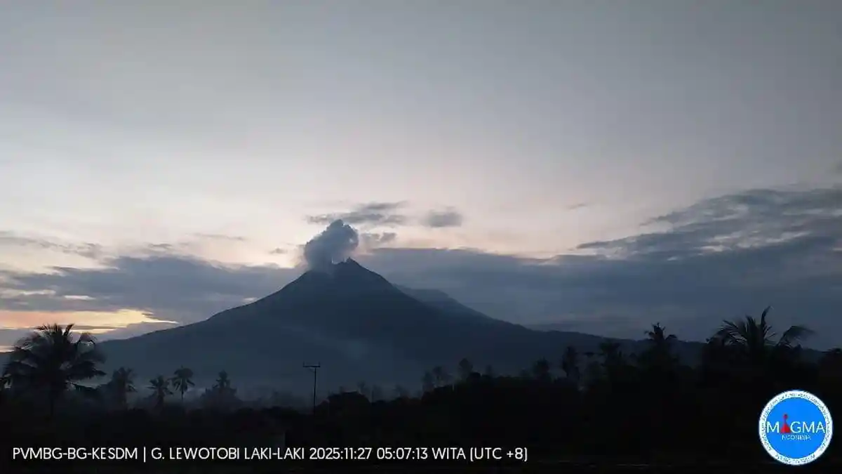 Enam Jam Lewotobi Laki-laki Alami 11 Gempa Tremor dan 6 Gempa Vulkanik Dalam